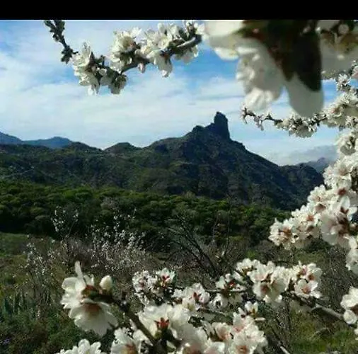 Casa Manantiales Tejeda (Gran Canaria)