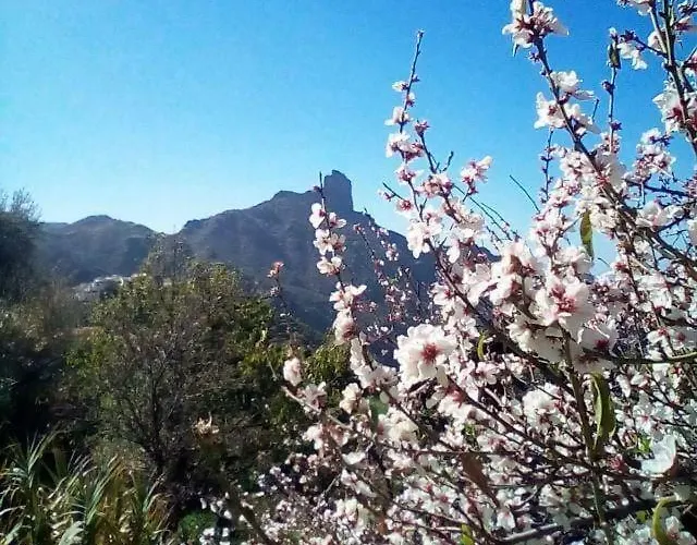 Casa Manantiales * Tejeda (Gran Canaria)